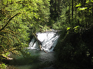 Lower North Falls (30 feet), Silver Falls State Park, Oregon