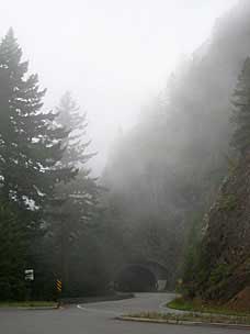 Fog on the way down from Hurricane Ridge, Olympic National Park, Washington