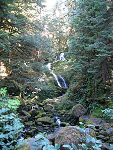 Bunch Creek Falls near Quinault River, Washington