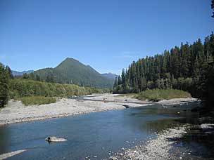 Quinault River, Olympic National Park, Washington