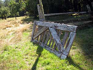 Kestner Homestead Trail, Olympic National Park, Washington