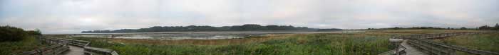 Panoramic view at Grays Harbor National Wildlife Refuge, Hoquiam, Washington