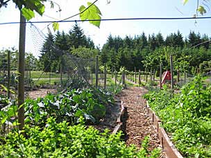 Silverton Market Garden at Oregon Garden