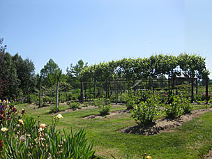 Silverton Market Garden at Oregon Garden