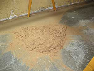 Dust pile after using the belt sander
