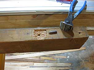 Extracted screw